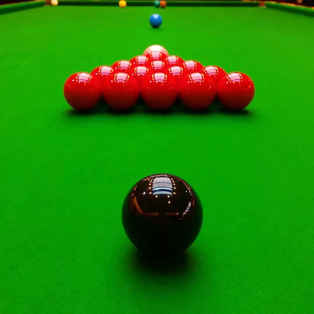 温书瑶