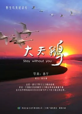 灵臆事件